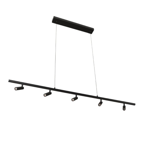 Подвесной светильник Loft It Sign 10260/5 Black фото 4