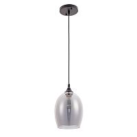 Подвес Arte Lamp PROPUS A4344SP-1BK