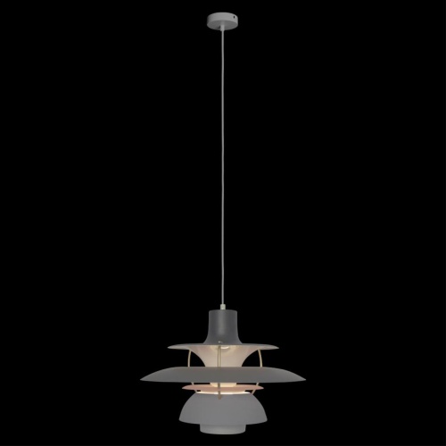 Подвесной светильник Loft It (Light for You) Floret 10113 Grey фото 3