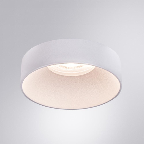 Потолочный светильник ARTE LAMP RAMO A1240PL-1WH