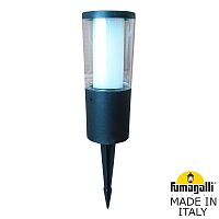 Садовый прожектор FUMAGALLI CARLO черный, прозрачный DR1.572.000.AXU1L