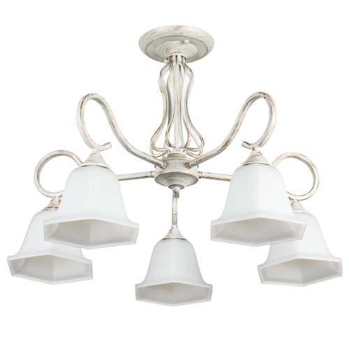 Светильник потолочный Arte Lamp MERRY A2714PL-5WG