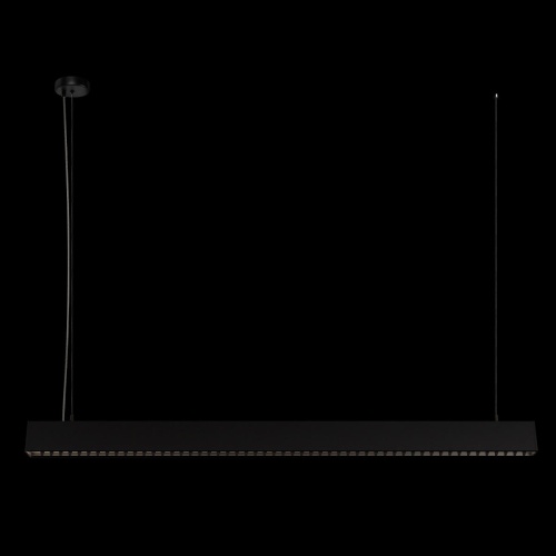 Подвесной светильник LOFT IT Vim 10318/D Black фото 3