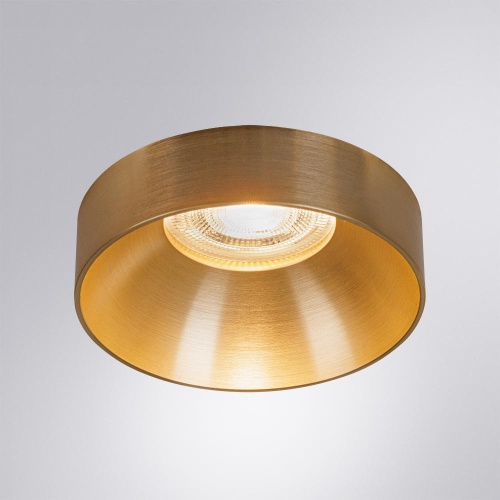 Потолочный светильник ARTE LAMP RAMO A1240PL-1SG