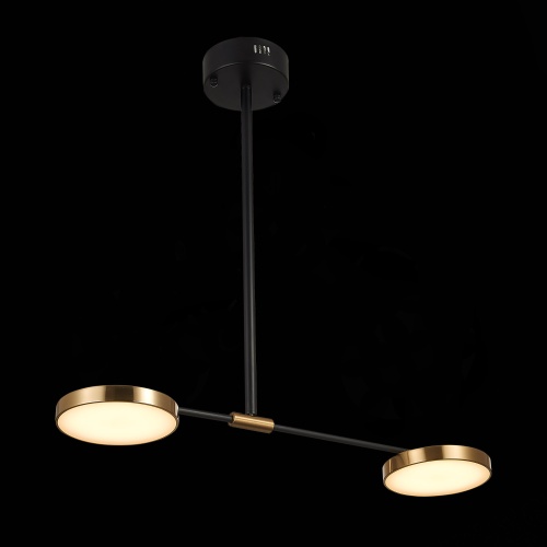 Светильник подвесной ST Luce FARONE SL1605.403.02 фото 6