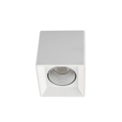 Светильник накладной Denkirs DK3020WC DK3080-WH+CH