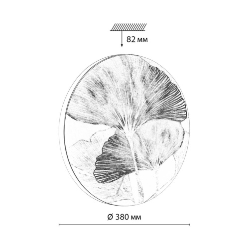 Настенно-потолочный светильник Sonex FLOREN 7747/DL фото 3