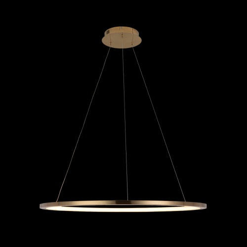 Подвесной светильник Loft It Ring 10014L фото 3