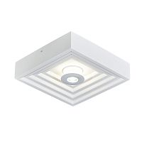 Настенно-потолочный свет Escada GESSO 10218/SG LED