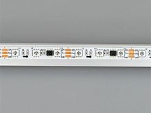 Светодиодная лента SPI-B60-10mm (12 W/m, IP20, 5060, 5m)