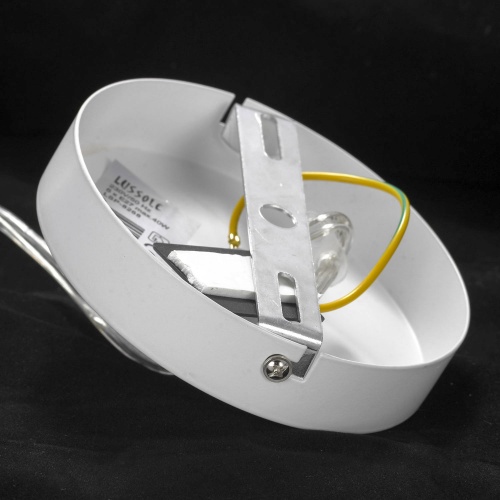 Подвесной светильник Lussole LGO KENNER LSP-8268-CL фото 6