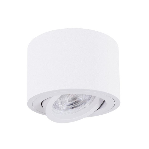 Потолочный светильник ARTE LAMP UNITO A2260PL-1WH