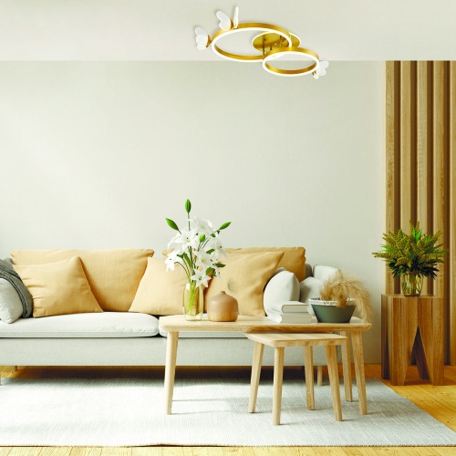 Потолочный светильник Escada  ALDANIA 10225/2LED фото 4