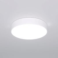 Потолочный светодиодный светильник Eurosvet Entire с регулировкой яркости и цветовой температуры 90319/1 белый