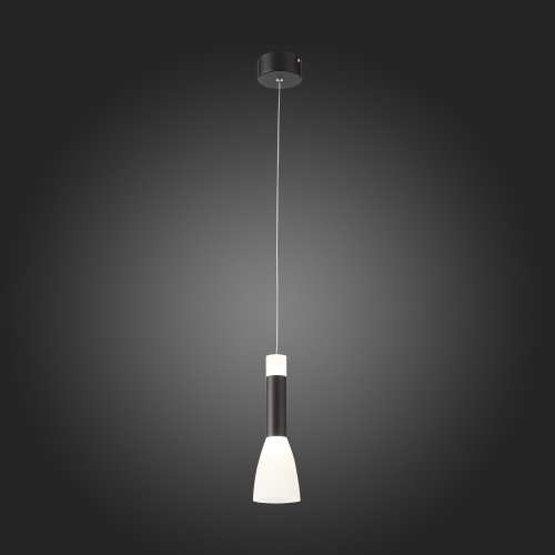 Светильник подвесной ST Luce AGIONI SL1590.403.01