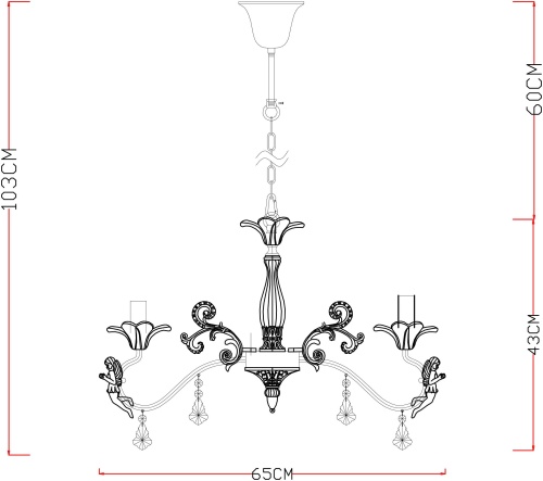 Подвесная люстра Arte Lamp Angelina A5349LM-5WH фото 13