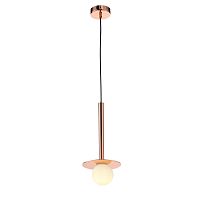 Светильник подвесной ST-Luce VITTE SL1055.203.01