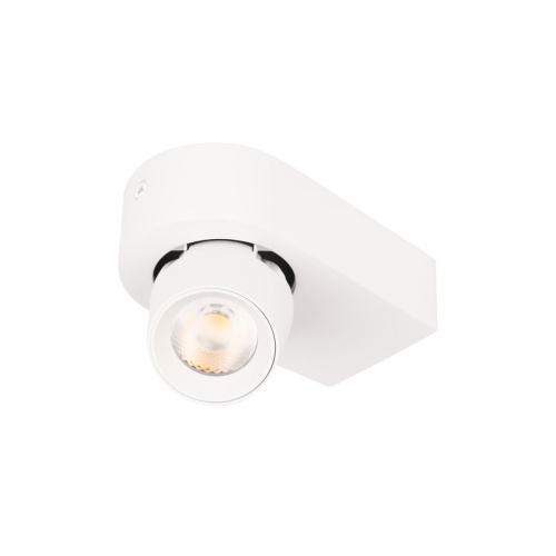 Накладной светильник LOFT IT Quiet 10320 White