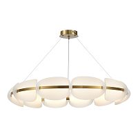 Светильник подвесной ST Luce ETOILE SL1304.203.65