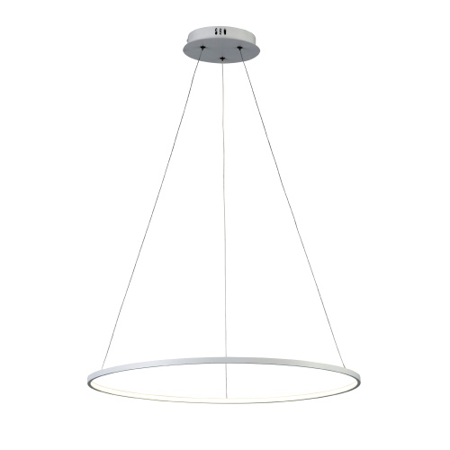 Светильник подвесной ST-Luce ERTO SL904.513.01