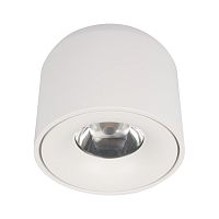 Потолочный светильник Tictac Loft It (Light for You) 10219 White 3000K