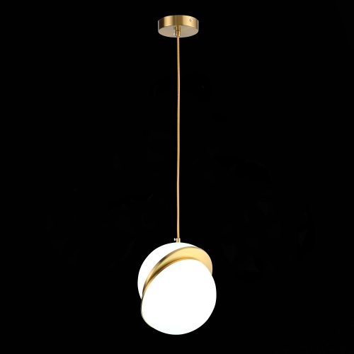Светильник подвесной ST Luce LAICO SL1164.303.01 фото 8