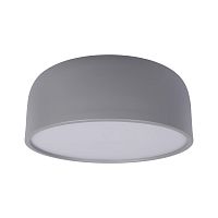 Потолочный светильник Loft It (Light for You) Axel 10201/350 Grey