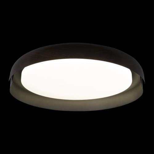 Потолочный светильник Loft It (Light for You) Coin 10198 Black фото 5