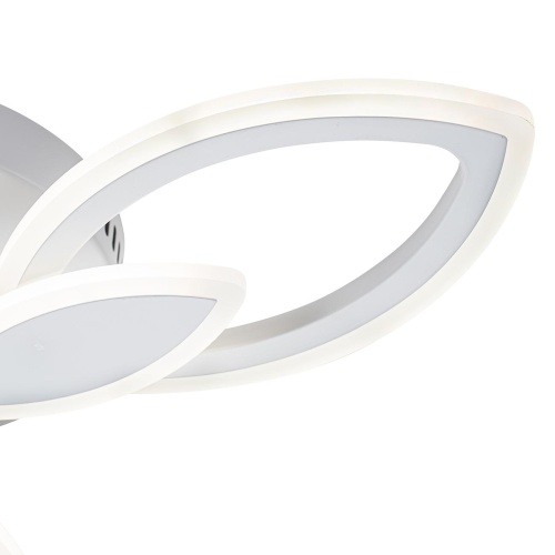 Потолочный светильник Escada Gentle 10287/3LED фото 6