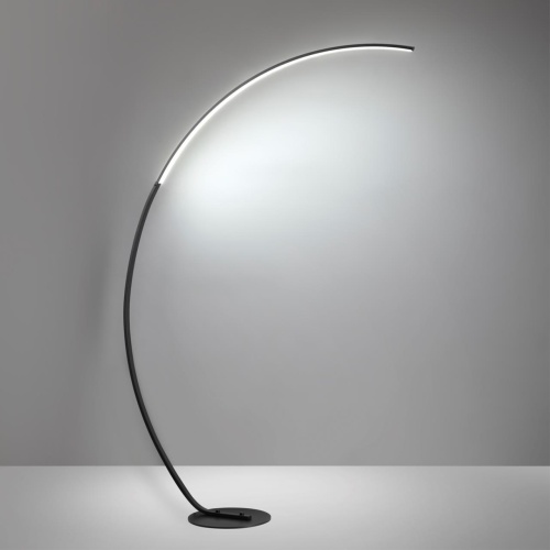 Торшер LUMION LEDIO 5676/21FL фото 4