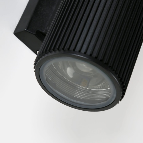 Уличный светильник Favourite Pola 2858-2W фото 10
