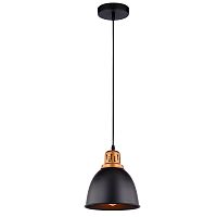 Светильник подвесной Arte Lamp Eurica A4245SP-1BK