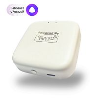 WI-FI Converter Denkirs Smart DK7400-WF