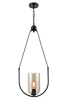 Подвесной светильник Vele Luce Fiamma VL5812P01