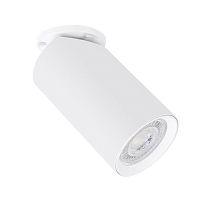 Светильник потолочный Arte Lamp Nodo A3213PL-1WH