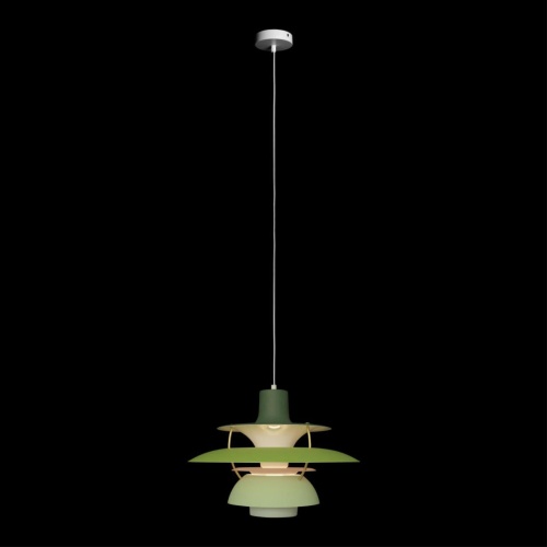 Подвесной светильник Loft It (Light for You) Floret 10113 Green фото 3