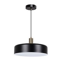 Подвесной светильник ARTE LAMP SKAT A7152SP-1BK