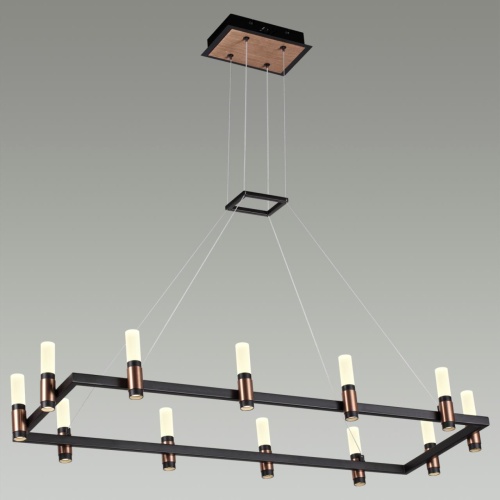 Люстра Odeon Light Candel 5009/48LA фото 4