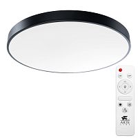 Светильник потолочный Arte Lamp arena A2673PL-1BK