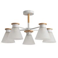 Люстра Arte Lamp TYLER A1031PL-5WH