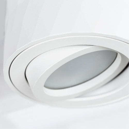 Точеченый светильник Arte Lamp FANG A5559PL-1WH фото 4