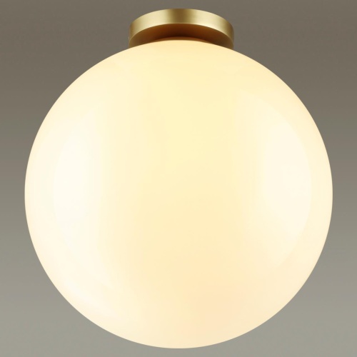 Светильник потолочный Odeon Light BOSCO 4250/1C фото 5