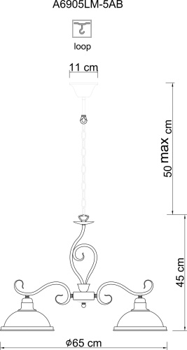 Подвесная люстра Arte Lamp Safari A6905LM-5AB фото 9