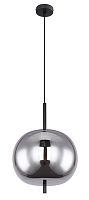 Светильник подвесной Globo Lighting Blacky 15345H1