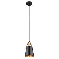 Подвес Arte Lamp THOMAS A7032SP-1BK