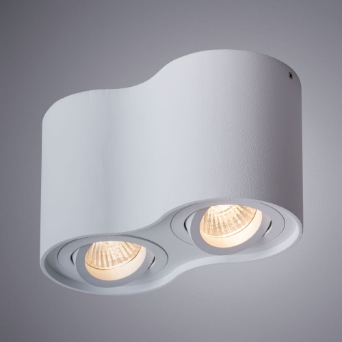 Светильник Arte Lamp Falcon A5645PL-2WH фото 3