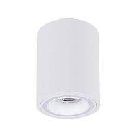 Потолочный светильник ARTE LAMP IMAI A2267PL-1WH