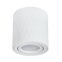 Точеченый светильник Arte Lamp FANG A5559PL-1WH