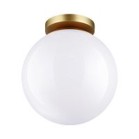 Светильник потолочный Odeon Light BOSCO 4248/1C