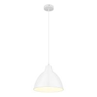 Светильник подвесной Arte Lamp Braccio A2055SP-1WH